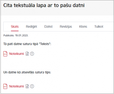 Datnes piemēra lapas skats