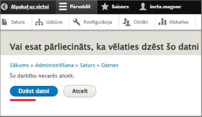 Datnes dzēšana